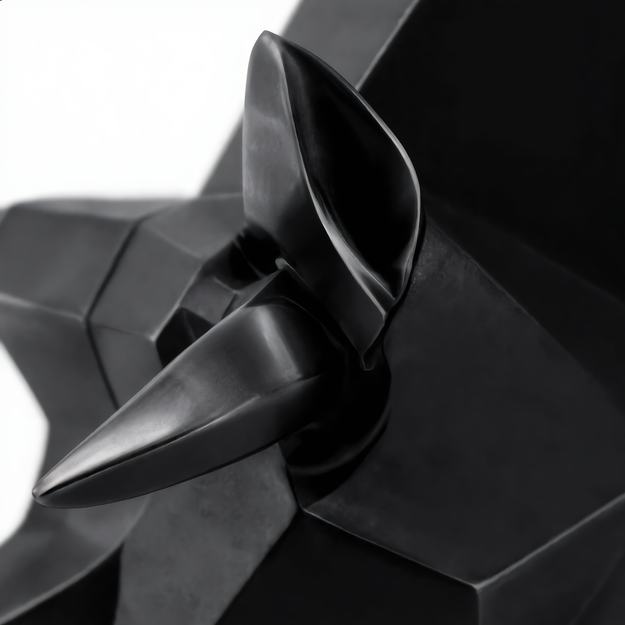 Close-up of the black bull's head and horns