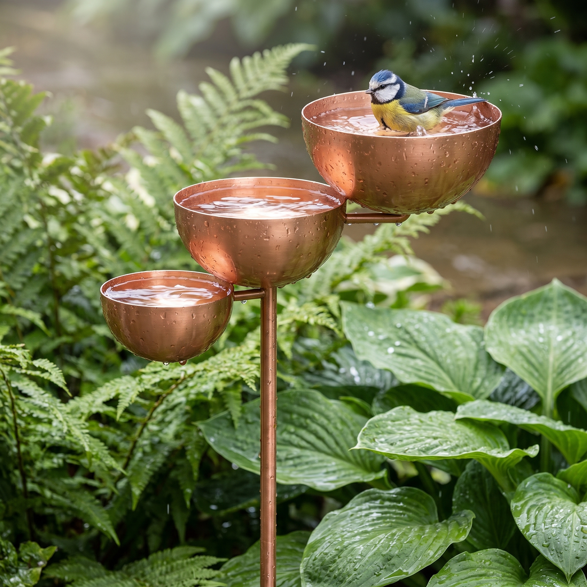Blue tit bathing in the rain-filled copper bowls after a summer shower