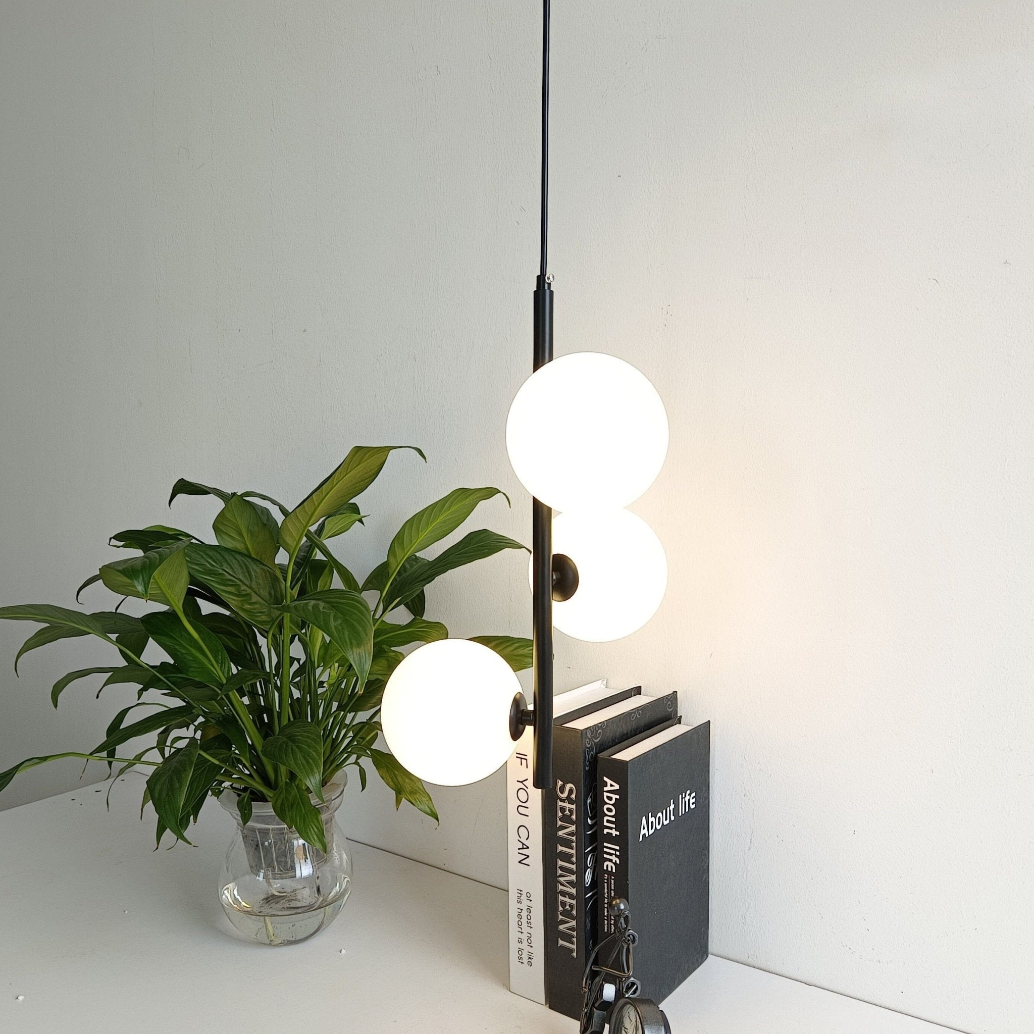 Black Perla Opal Globe Pendant styled with a plant and books