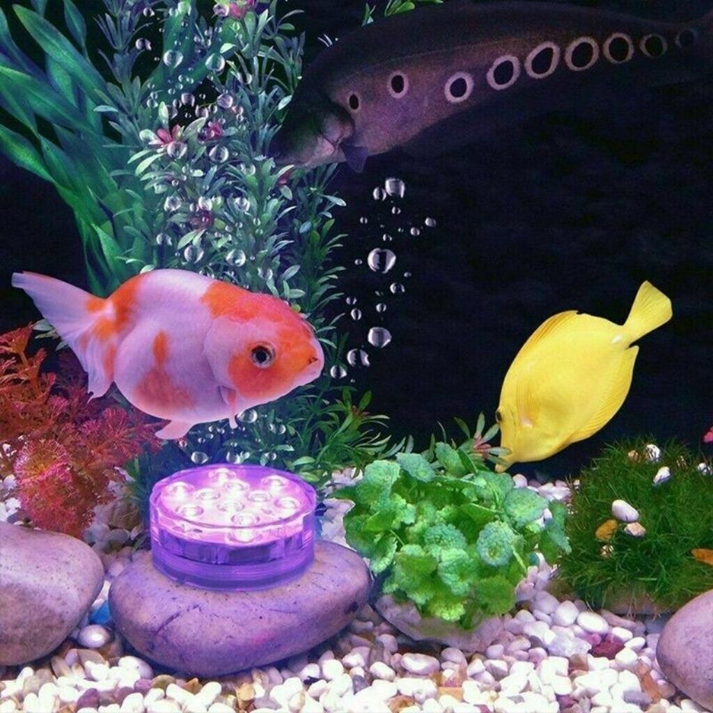 https://cdn.shopify.com/s/files/1/0655/0464/1076/files/submersible-pool-led-light-with-remote-control_18.jpg?v=1780086653