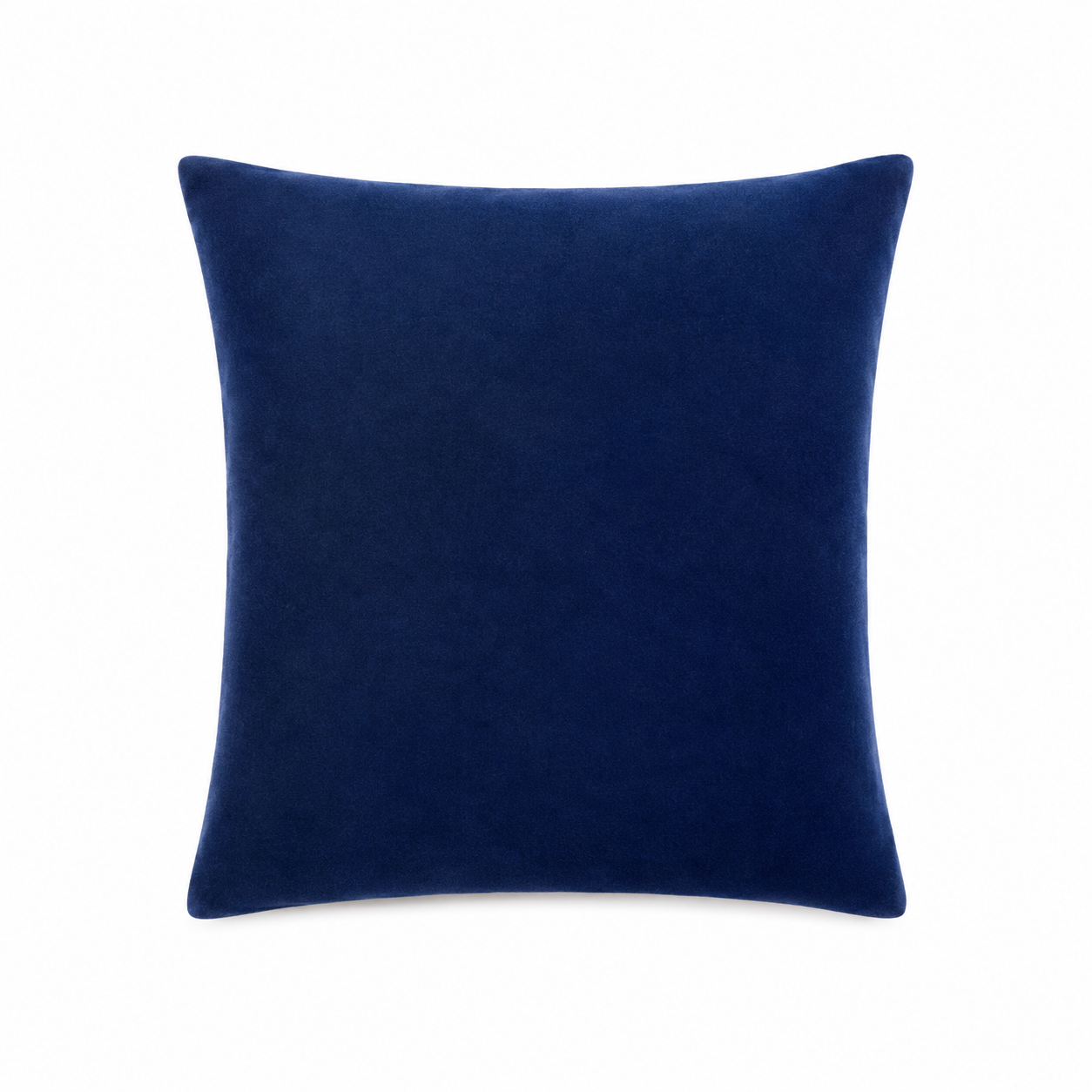 Denny Velvet Throw Pillow