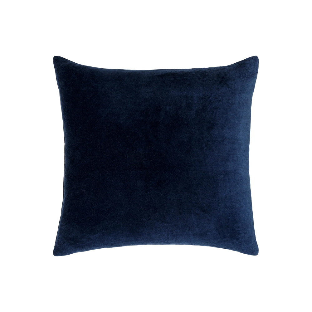 Denny Velvet Throw Pillow
