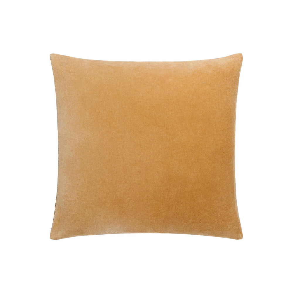 Denny Velvet Throw Pillow