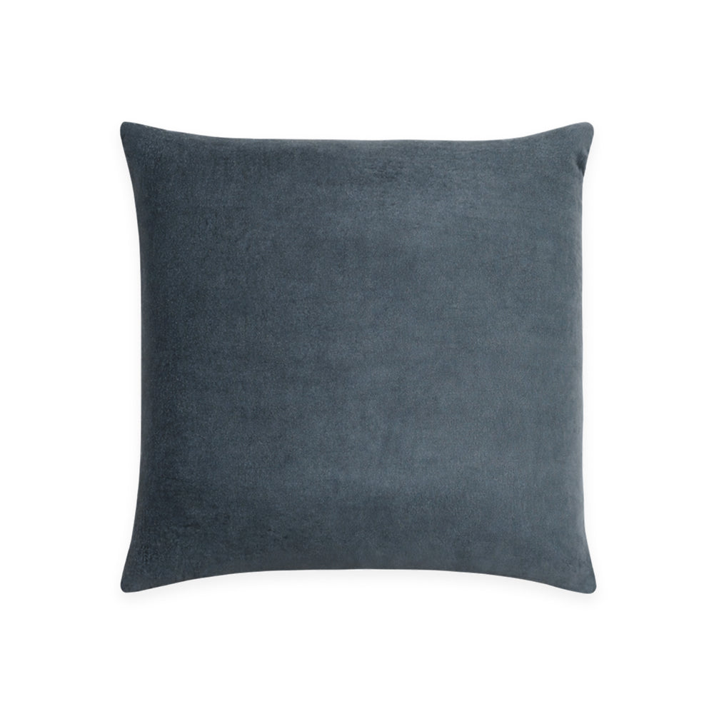 Denny Velvet Throw Pillow